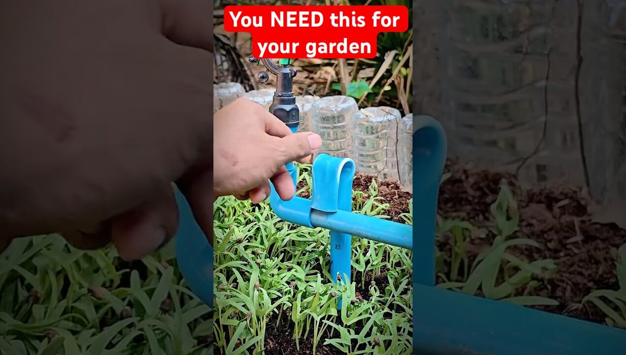 Easy PVC Pipe Sprinkler Stand Build #diy #ideas