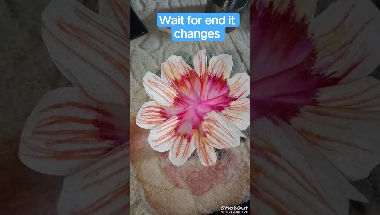 Beautiful 😍 Tissue Paper Flowers Decoration Idea 💡#craft #diy #craft #viral @esaycraft26