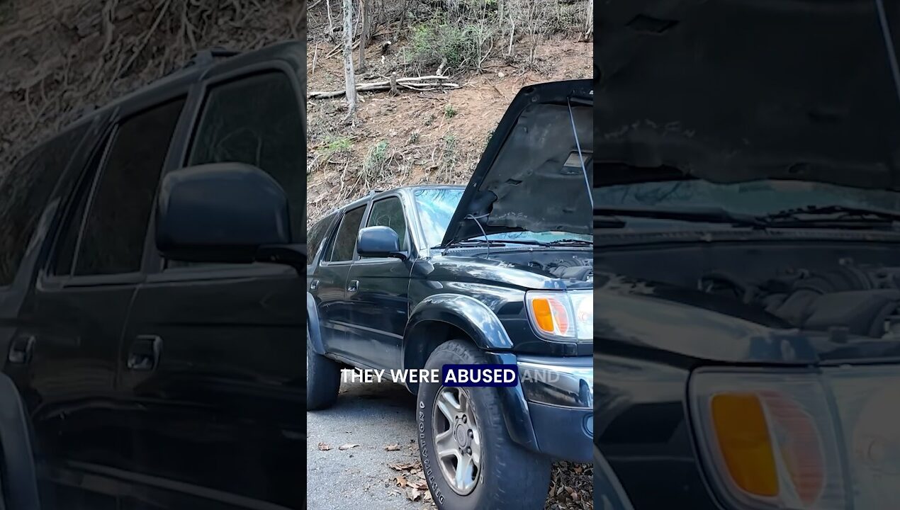 These things are dying off fast. #automobile #toyota #diy #shorts