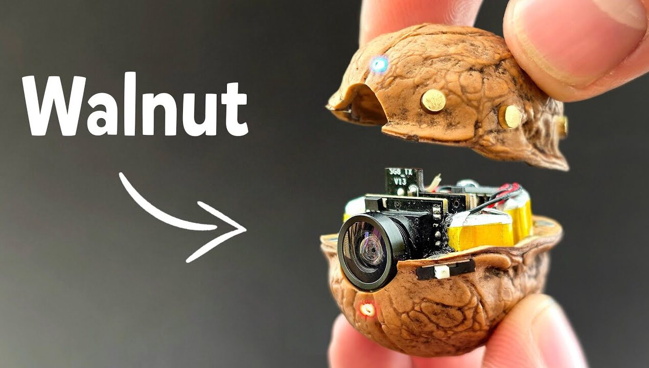 Not Just a Walnut — It’s a Secret Camera I Created!