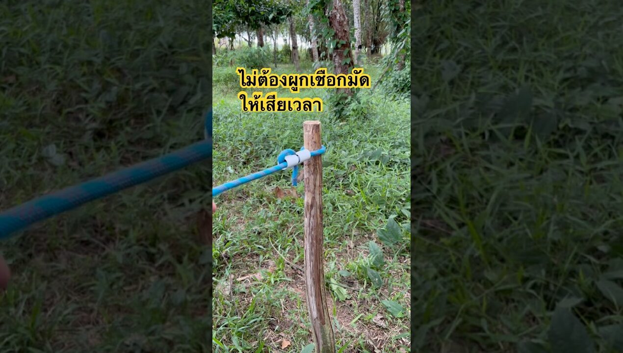 ไม่ต้องมัดเชือก #diy #วิธีผูกเชือก #idea #rope #goodidea
