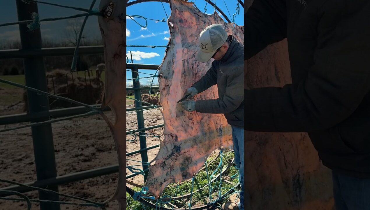 Make your own rawhide! ScottGoreRawhide.com #leathercraft #leatherwork #diy