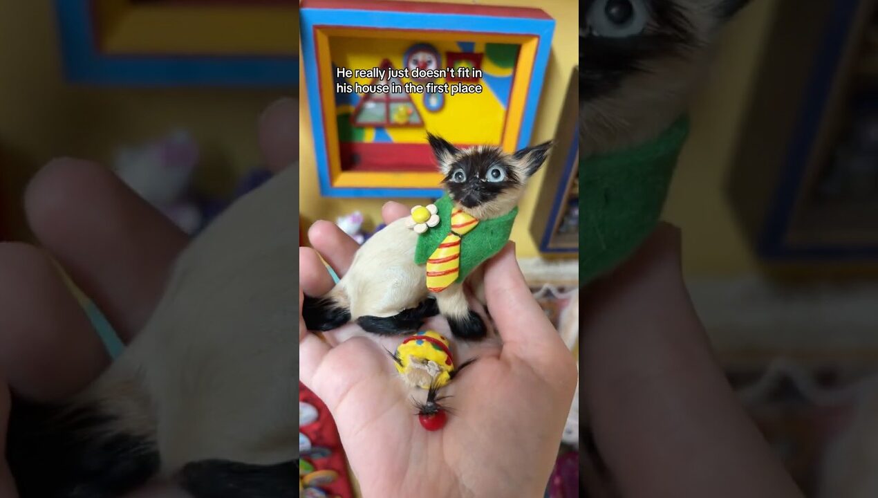 Had to repair my clown cat 😞 #diy #trinket