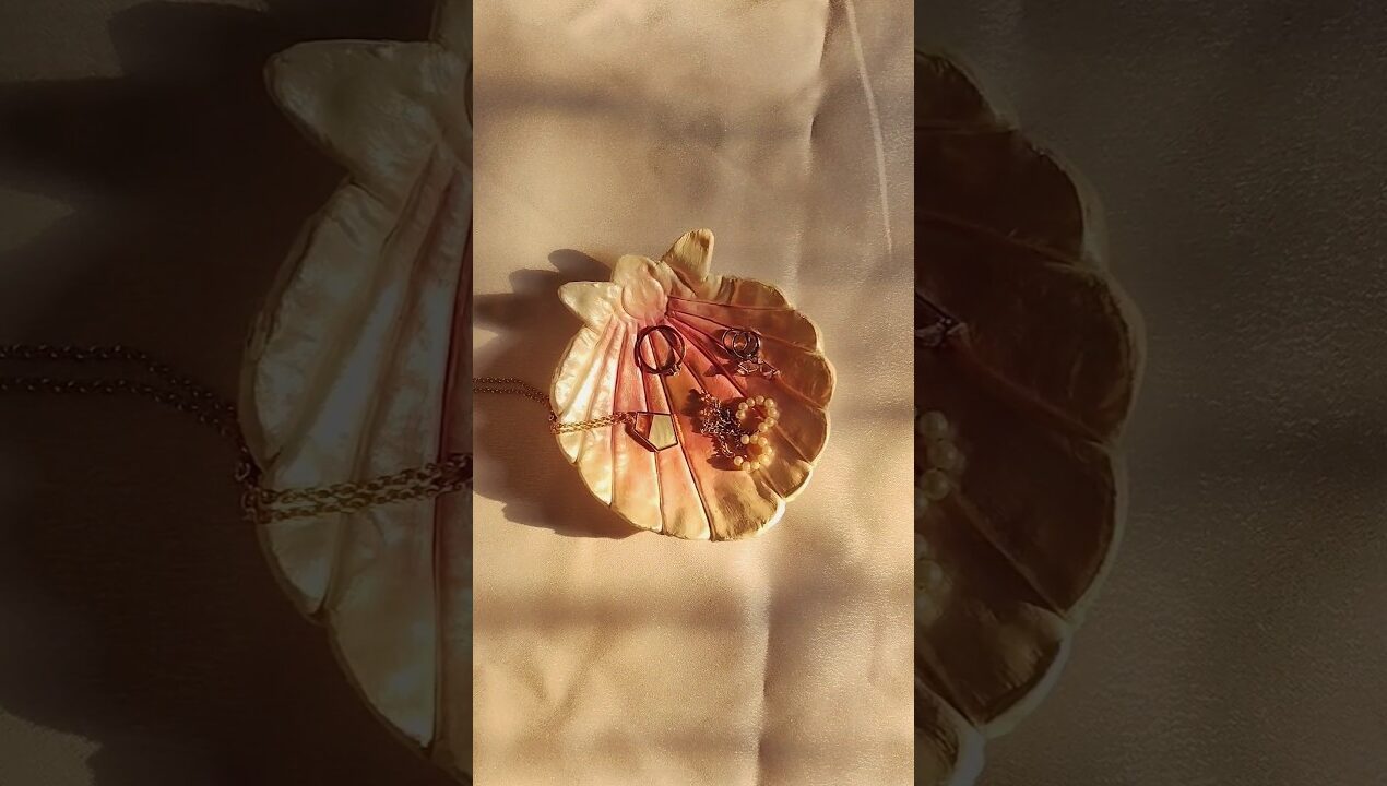 I made Seashell jewellery tray🐚💫_#diy #shorts