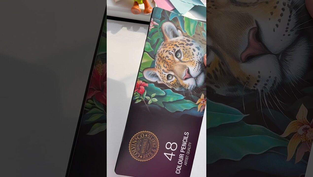 Art supplies #shortsfeed #diy #art #artandcraft #artsupplies #shopping #shortsvideo #shorts #viral