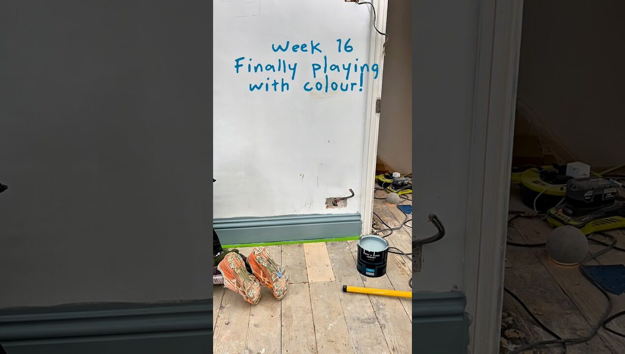 Week 16 – Playing with Colour 🙌 #renovation #diy #beforeandafter #transformyourhome
