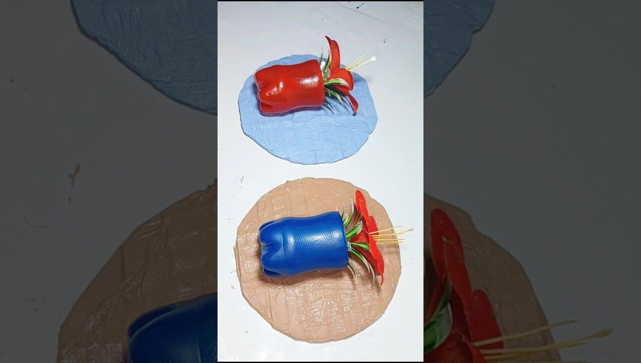 Empty Pepsi Bottle Craft Ideas/ Wall Shelves Ideas #youtubeshorts #shortsvideo #diy #wallshelves