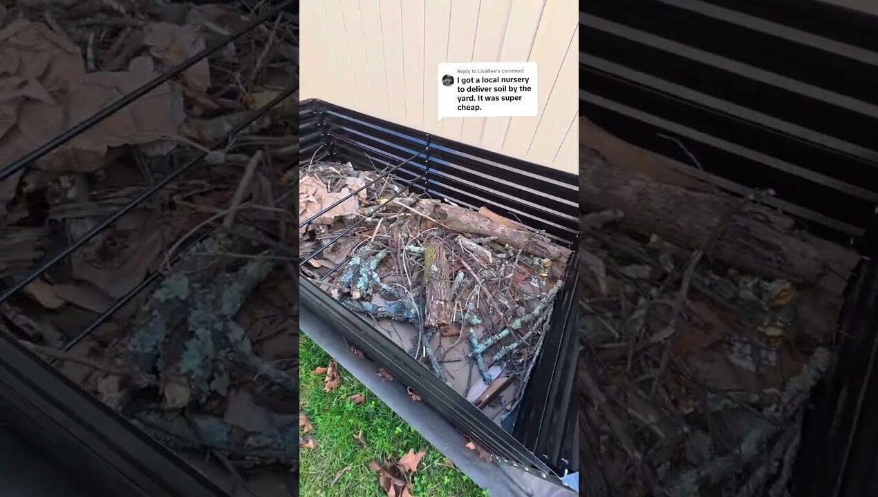 affordable raised garden beds with plenty of ideas to fill them cheap 🌱 #gardenbed #raisedgardenbed