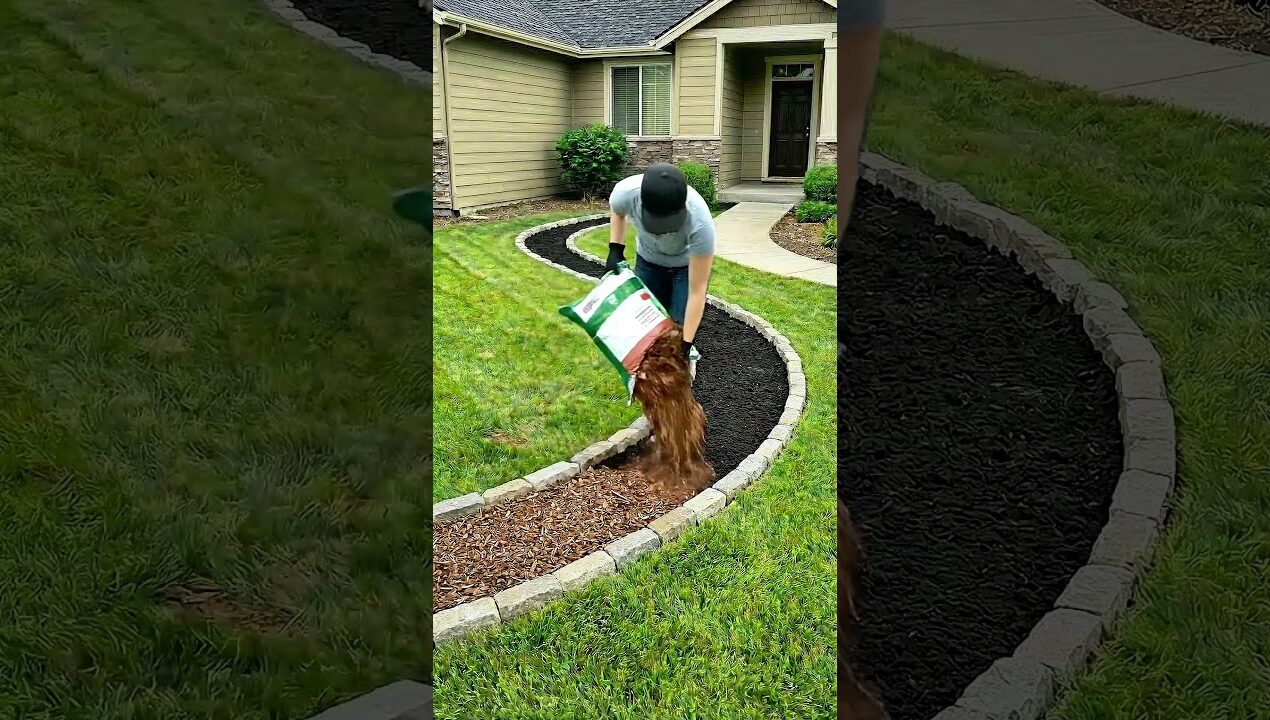 From Grass to Glowing Garden | Front Yard Garden Makeover #GardenMakeover #GardenDesign #lawncare