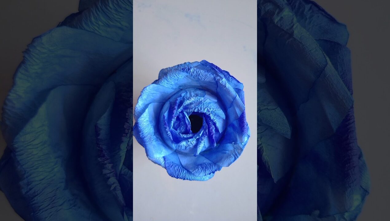 tissue paper flower 💙|| DIY paper craft 🌹#viral #shorts #art #diy #trending