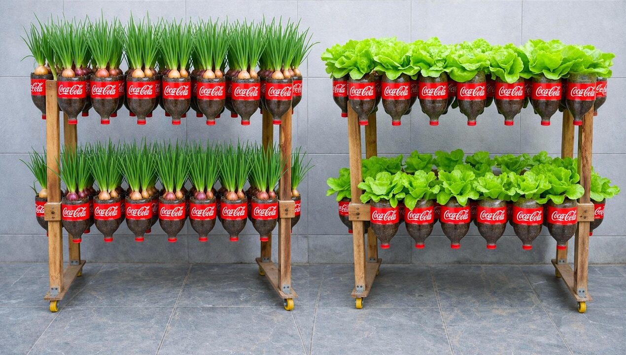 DIY Vertical Garden from Plastic Bottles – Grow Lettuce, Green onions at Home Easily