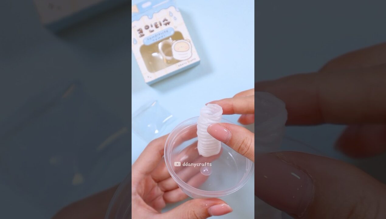 수제 코인티슈🧻 DIY Compressed Towel