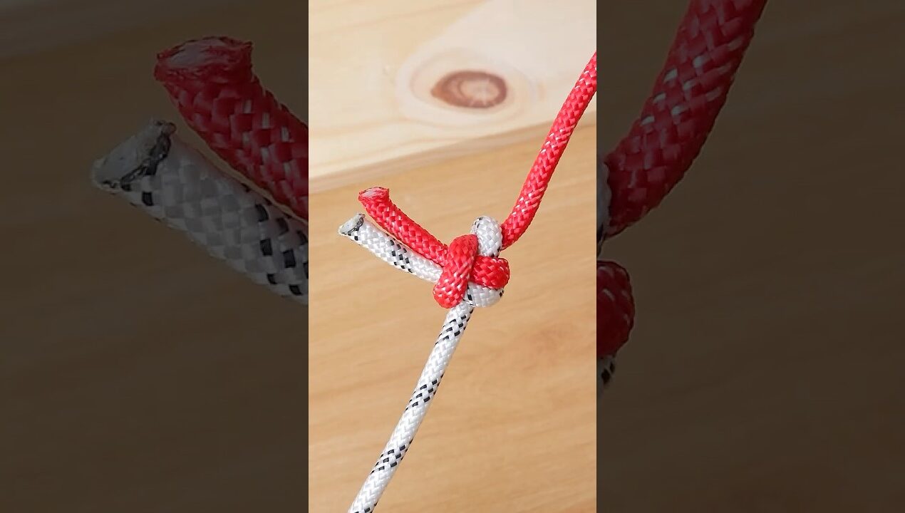Pro Knot for Joining Ropes #diy #lifehacks #ideas #knot
