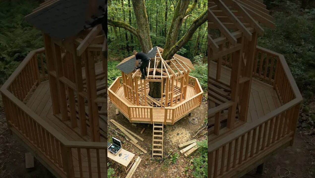 Insane Treehouse Build From Bare Forest to Luxury Cabin! 🔨 #diy