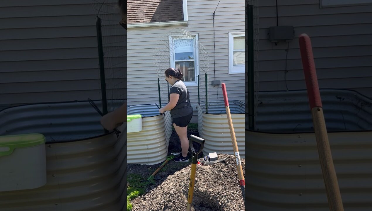 DIY Garden Trellis #shorts