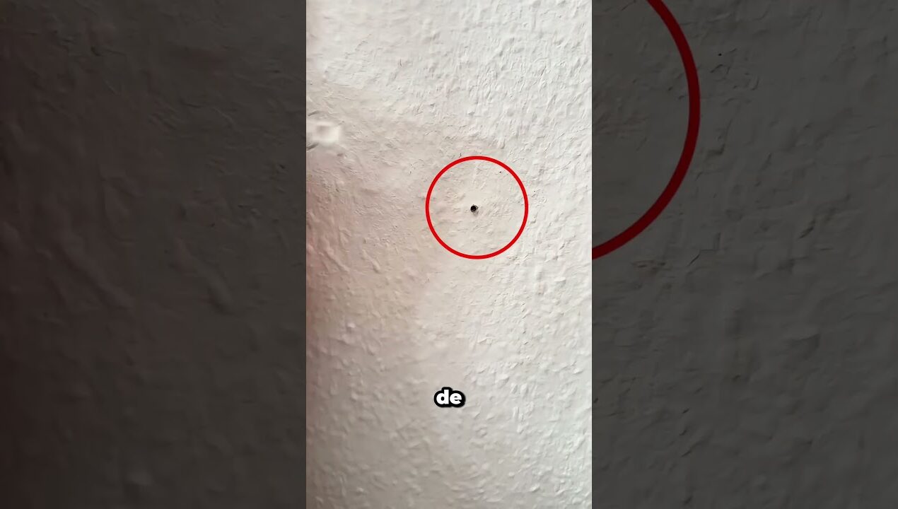 Tu casero no se dará cuenta #diy #genius