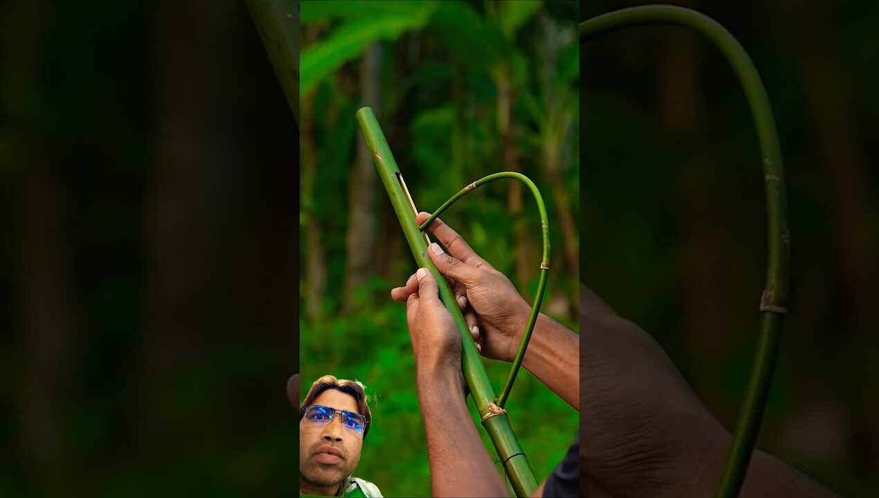 Diy bamboo slingshot with wonderful craft #art #bamboo #slingshot #diy