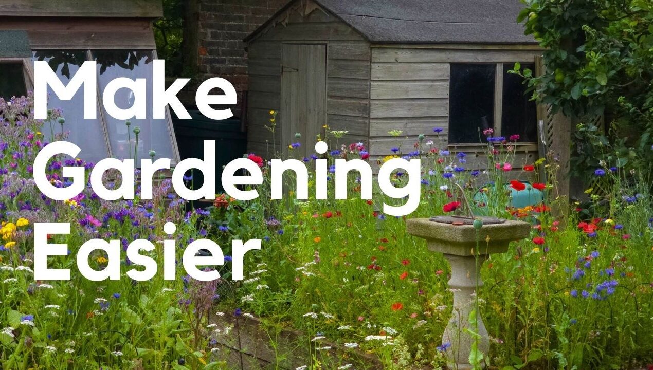 How to Make Your Garden Easier to Look After (Without Starting Again)