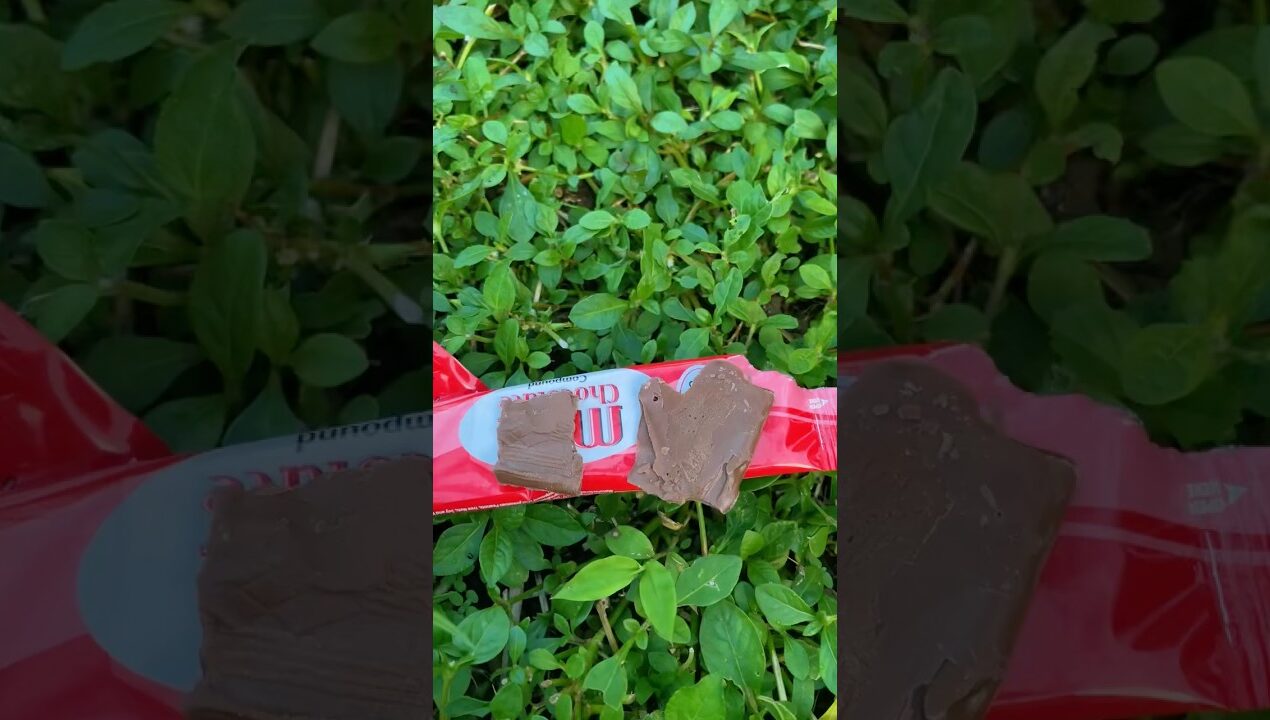 ini coklat viral nyegerin #diy #kreatif #art #viral #craft