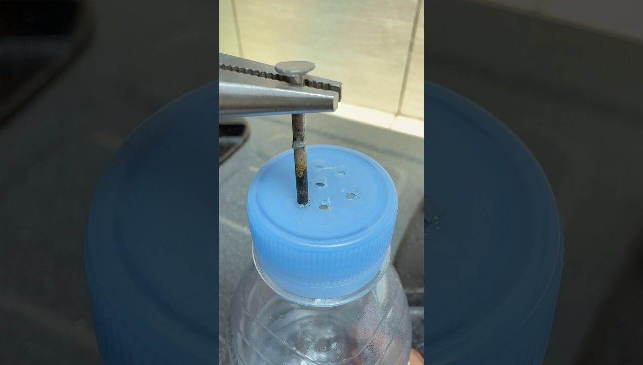 Great Tips With a Plastic Bottle! #diy #idea