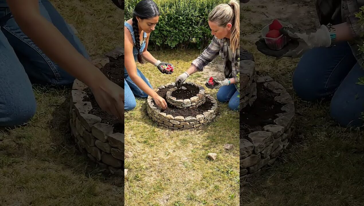 Backyard Garden: DIY Stone Strawberry Spiral! 🍓🤯