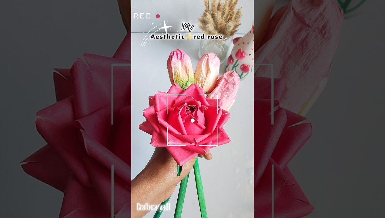 Diy super aesthetic ✨ red rose 🌹 by white paper #diy #art #flowers #shorts #viral