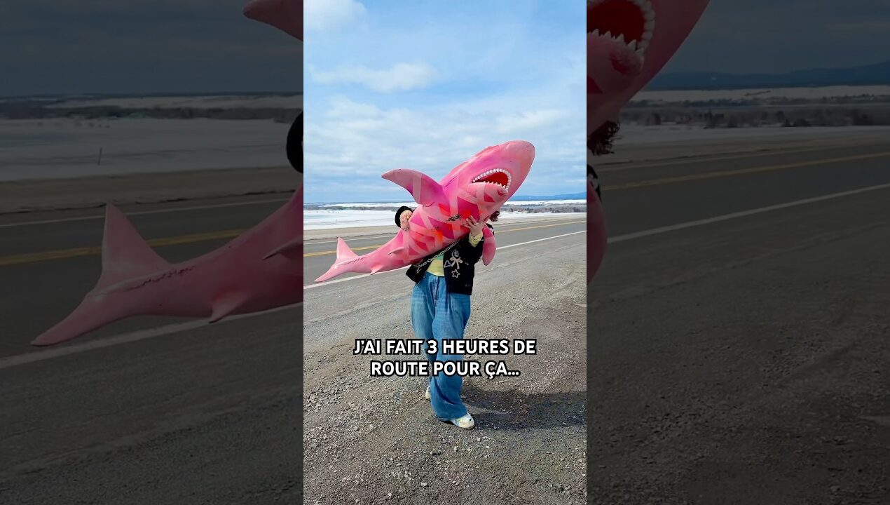 J’AI FAIT 3 HEURES DE ROUTE POUR ÇA… #diy #homedecor #interiordesign