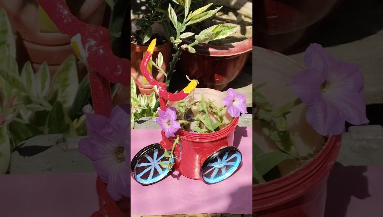 DIY Home Decor Ideas From Waste Plastic Bottles #diyhomedecor #gardendecor #youtubeshort