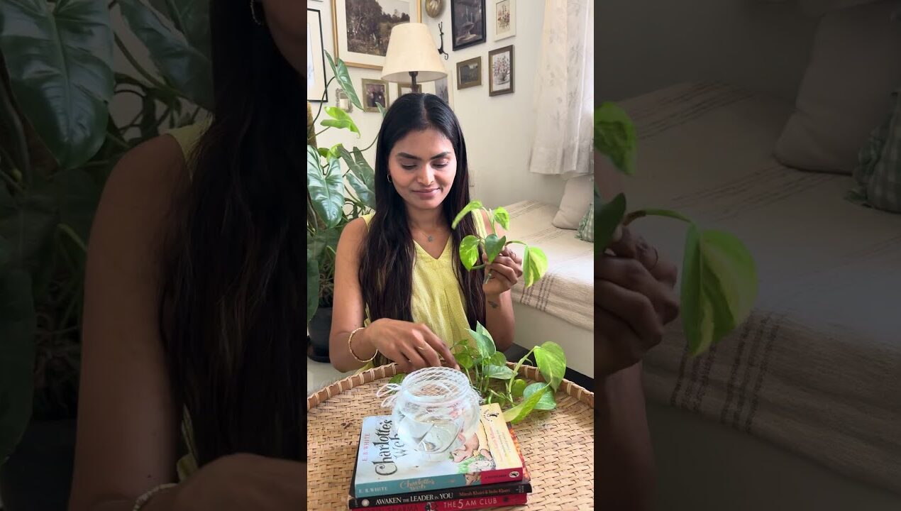 🌱Money plant ని Waterlo లో ela easyga propagate cheyandi | Easy Decor hack #diydecor