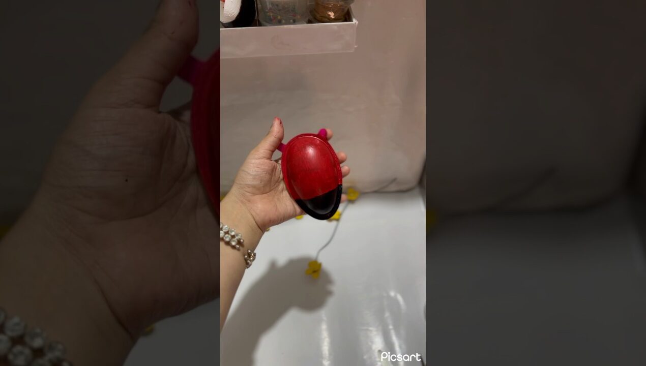 Diy lady bug🐞 making 😍#diy ideas #craft #Shorts feed