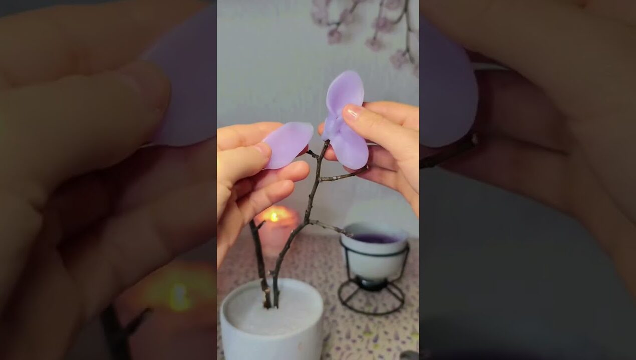 Wax flower orchid #DIY crafts #DIY crafts #Grow flowers together#handmadeflowers