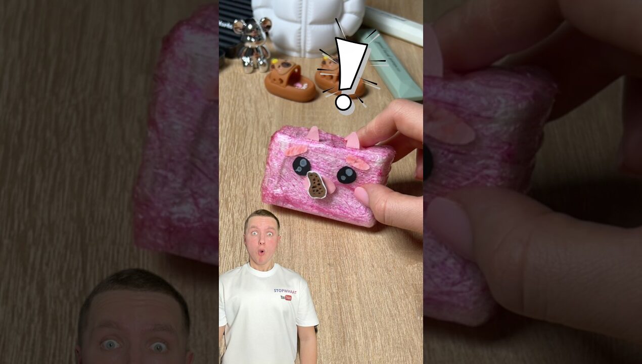 DIY Magic Eating Pig 🐷