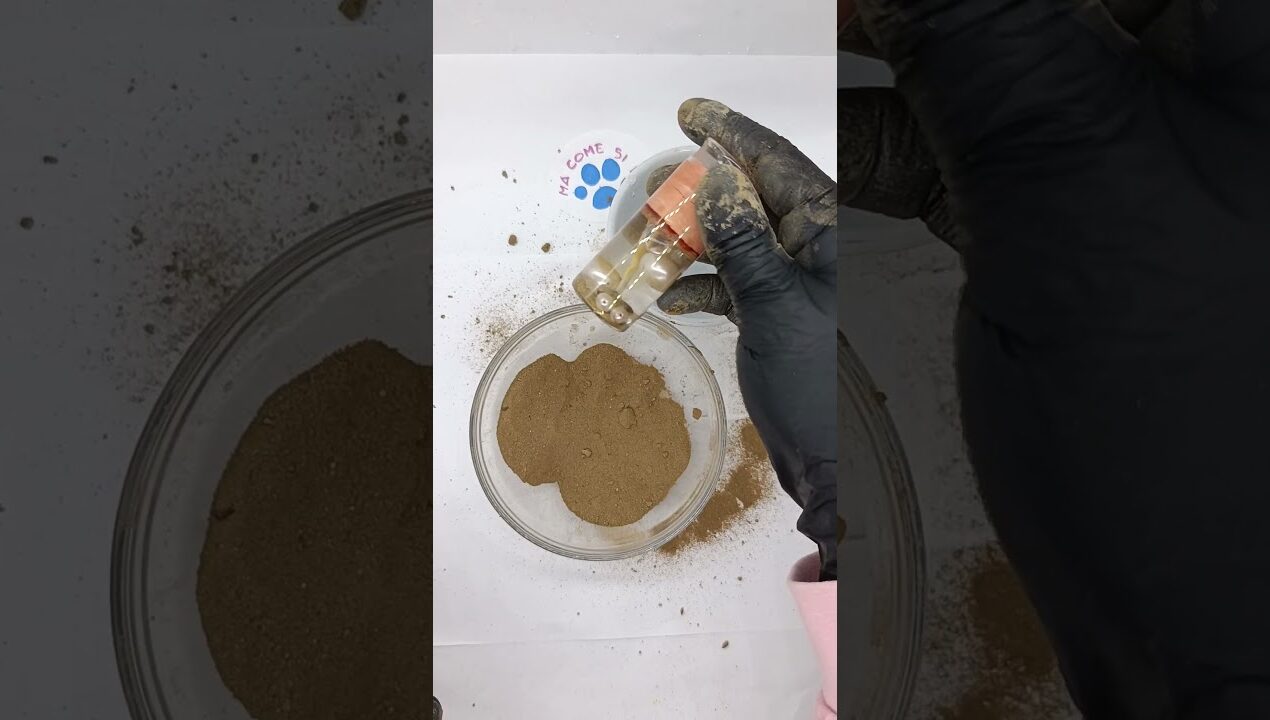 DORODANGO 😱 #tutorial #diy #dorodango #japaneseart