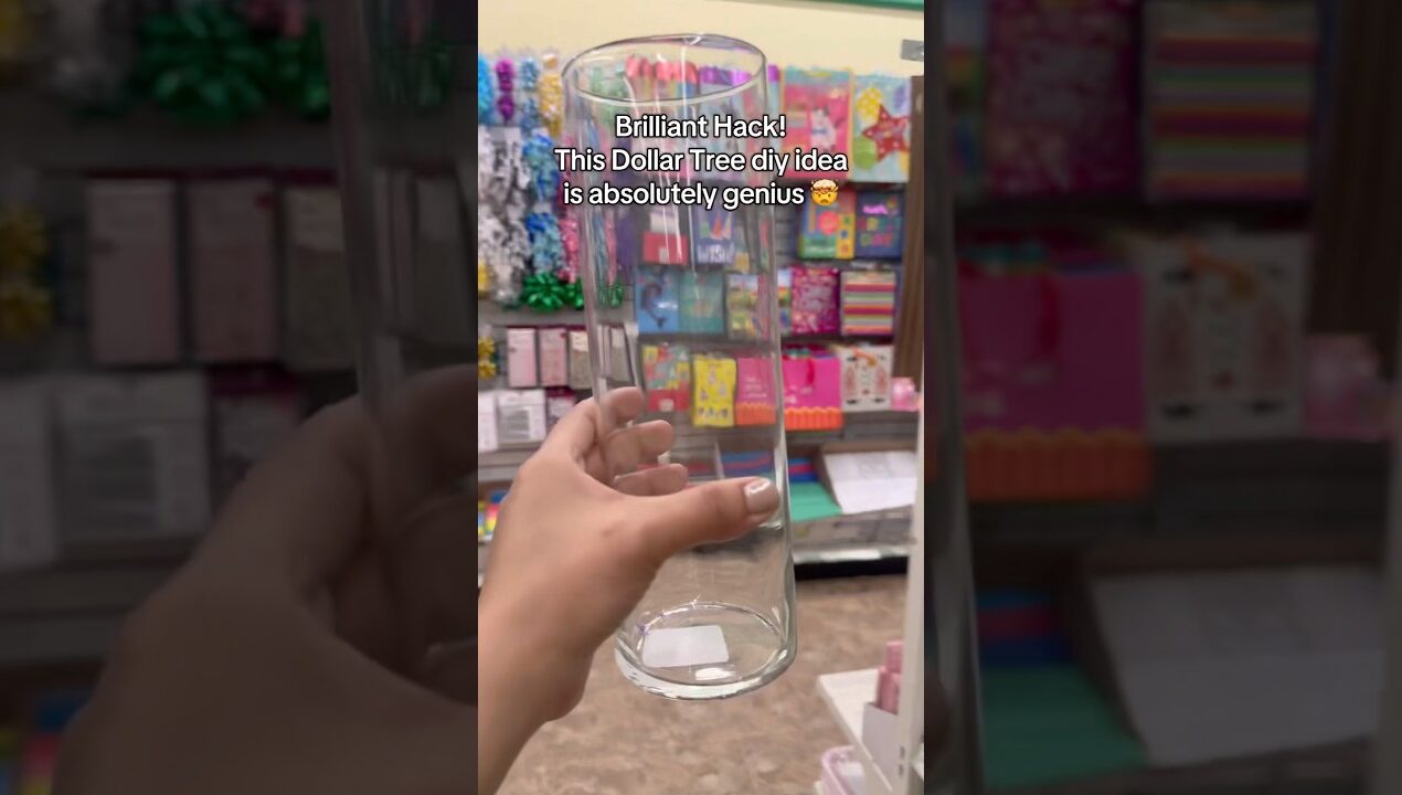 Brilliant dollar tree home hack #viral #diy #dollartree #shortsvideo #trending