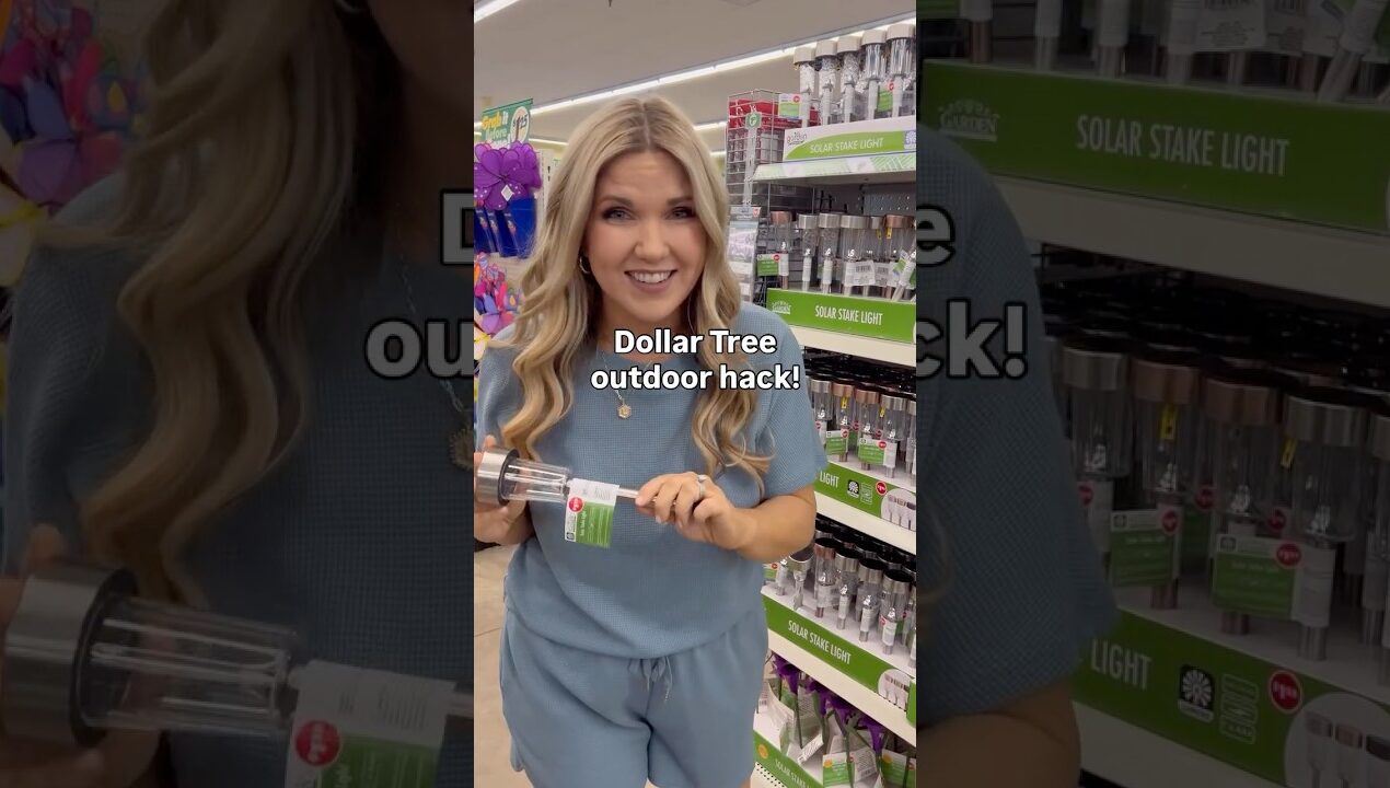 Solar Light DIY Idea #dollartreediy