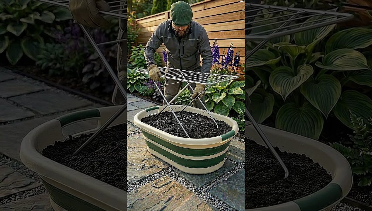 The Lazy Way to Grow Tons of Cucumbers in a Tub! 🥒🌱 #garden