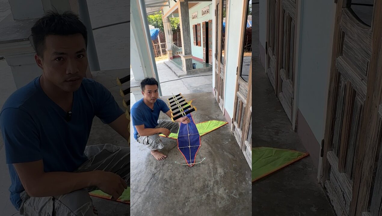 Diều cá heo 60k mang bộ sáo được không? #duduky #diy #shorts #kite #dieu #dieusao