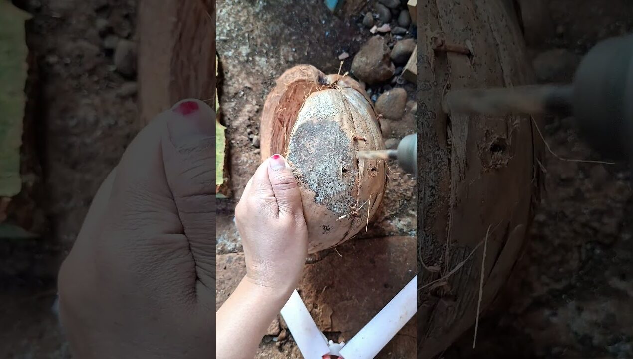 DIY coconut fiber pot, simple and environmentally friendly🌿 #coconutfiberpot #DIY #plantingideas