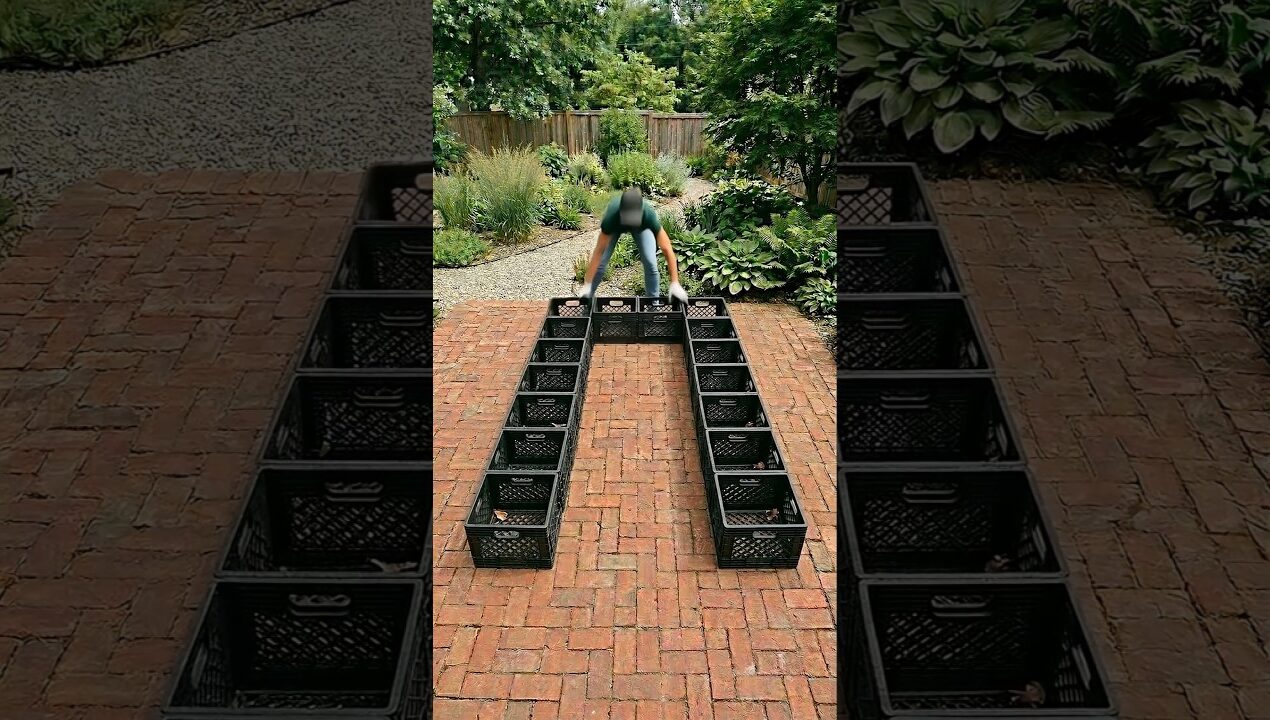 STOP Throwing Away Milk Crates! 🛑🛑 Build Greenhouse  Instead.   #diy #garden #raisedbedgarden