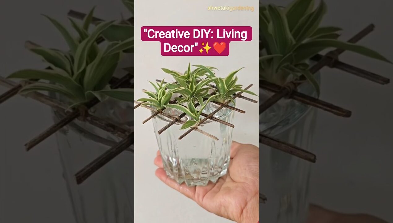 Don't throw Broom Sticks! 🧹 Easy Living Decor DIY Idea 🌱#shorts #youtubeshorts #shortvideo