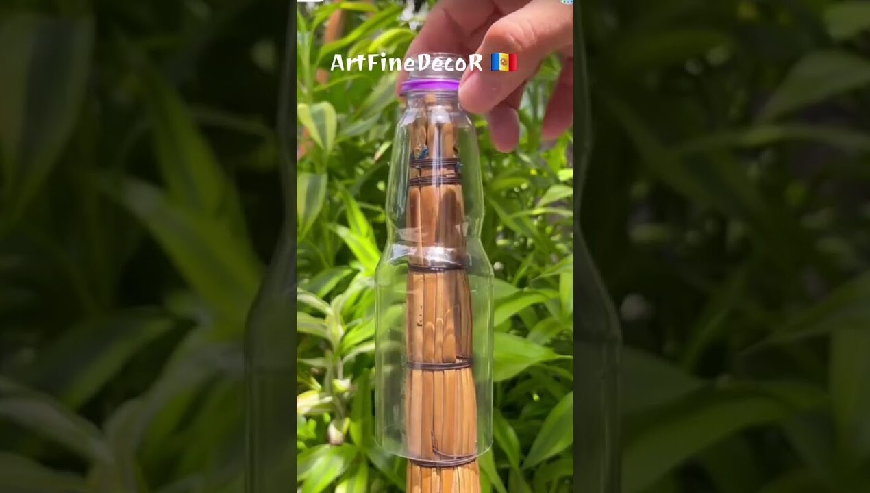 Ideas, creativity, DIY workshops, and home garden products.