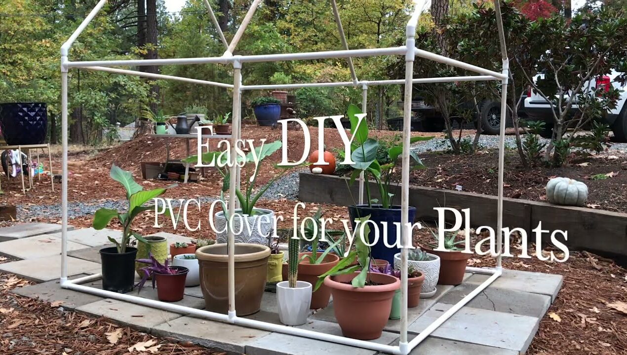 Greenhouse PVC Cover for your Plants, Easy DIY Design, also uses new #SnapClamp Pro Series!