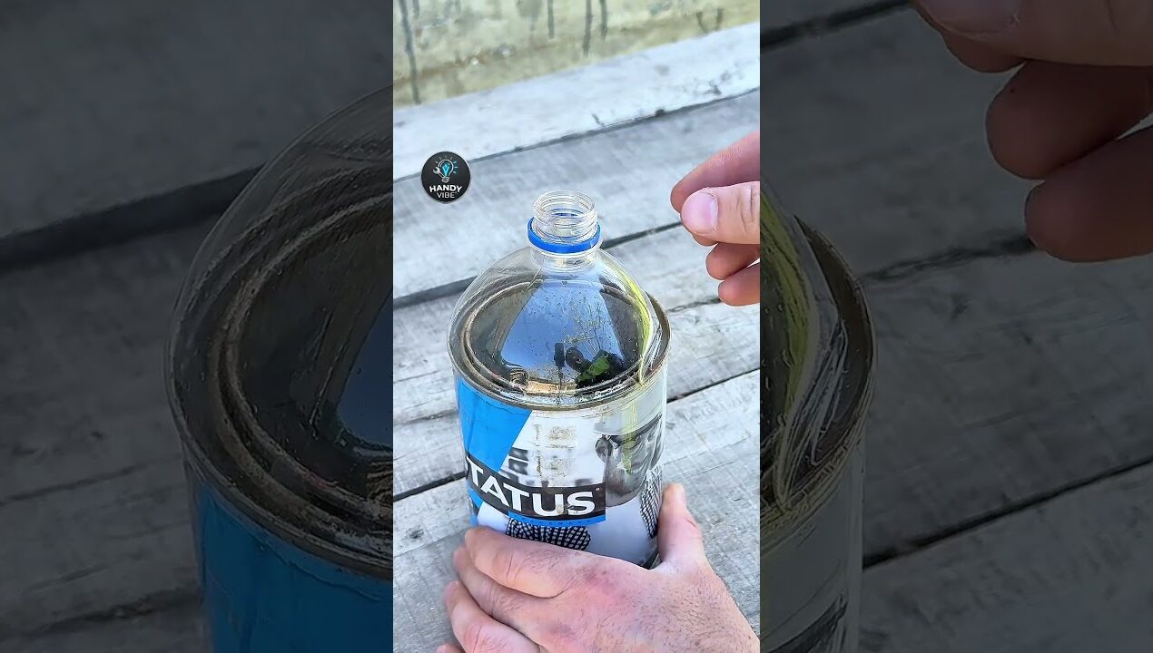 Genius Paint Storage Hack! 🎨 #tools #tips #diy