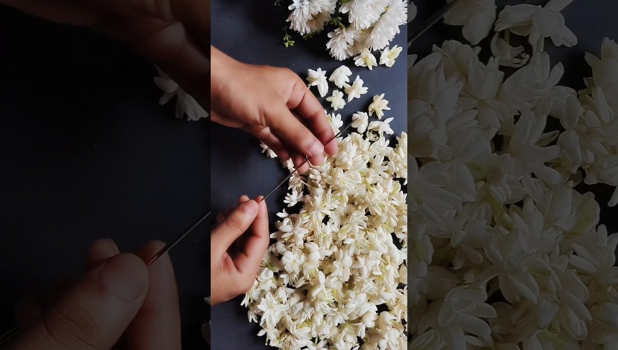 DIY Easy Jasmine Flower Garland Decoration 🌸 || Easy And Beautiful Craft Ideas