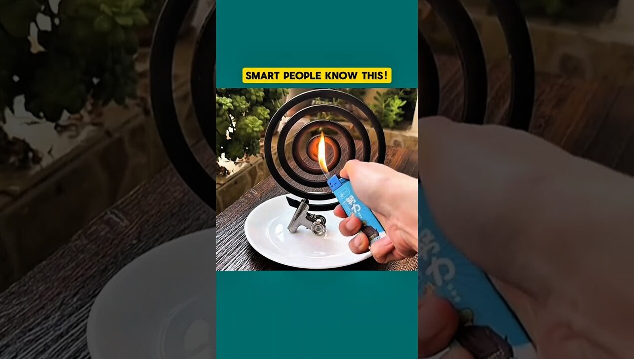 15 Genius Life Hacks You’ll Wish You Knew Sooner! #diy #lifehacks #shorts #trending