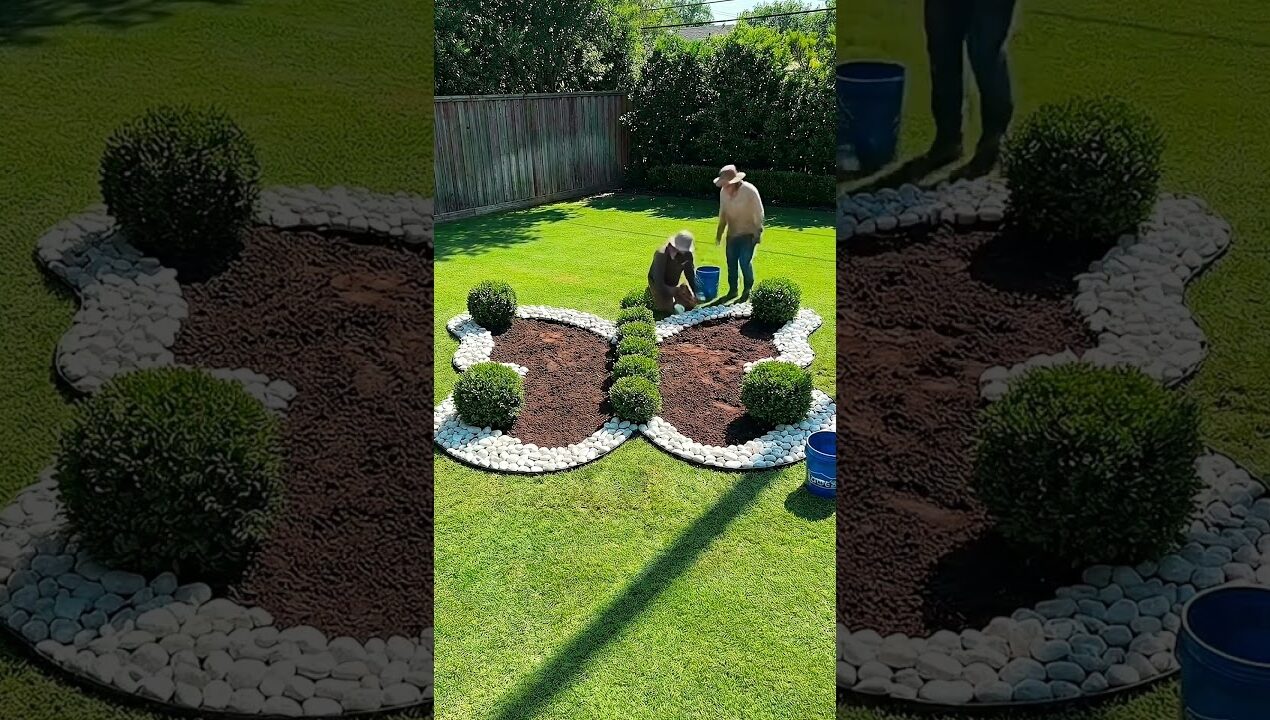 DIY Butterfly Garden Bed: Complete Lawn Transformation 🦋🌺