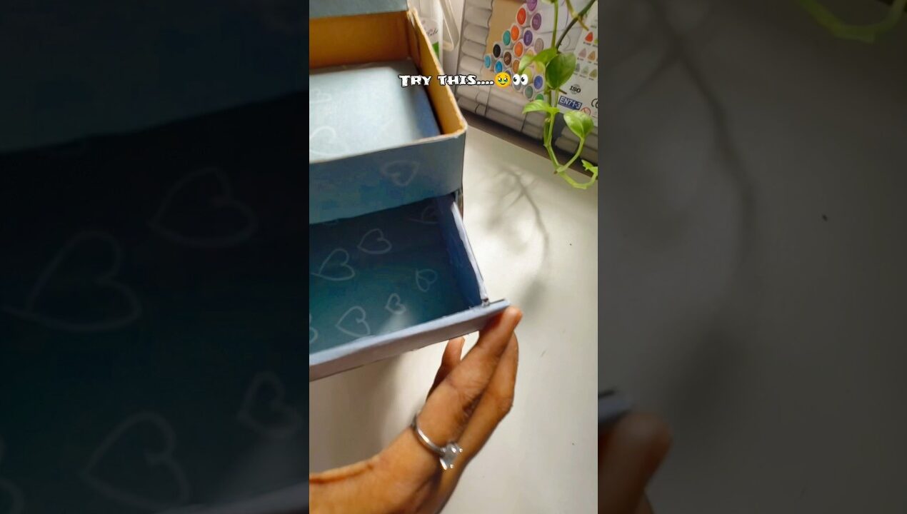 Reuse idea…just try 🥹👀Is an organizer?!#diy #craft #short #shortsfeed #ytshorts #ideas