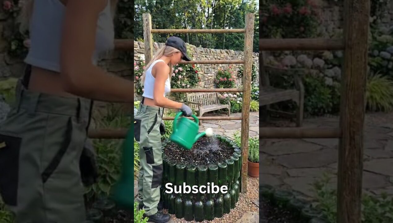 DIY Vegetables Gardening is Amazing 😱✨ #gardening #diy #vegetablegarden #ytshorts