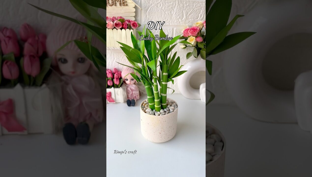 DIY Lucky Bamboo #sorts #viralshort #viralvideo #artificial #homedecor #roomdecor #handmade #diy