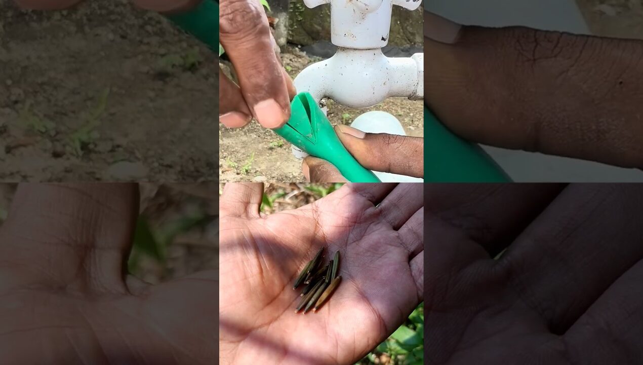 Smart Idea to Attach a Bigger Garden Hose to The Water Tap! #diy #ideas #lifehacks  #tricks #shorts